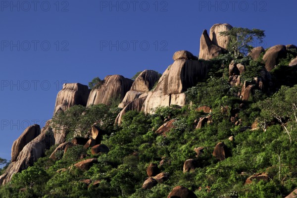 Majestic rocks rise above thick vegetation in the Valley of Wonders, Babile, Oromia, Ethiopia