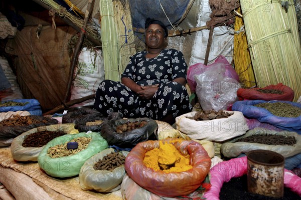 Woman offers a variety of spices in colorful bags at the market, Bahirdar, Ethiopia