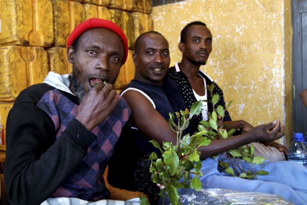 Two men consume khat in a relaxed atmosphere, Babile, Ethiopia