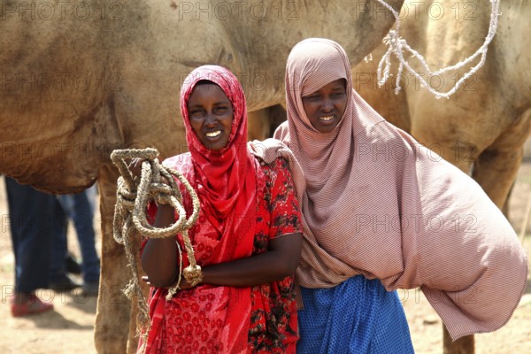 Two woman with friendly smiles at the camel market in Babile, with camel in the background, Babile, Oromia, Ethiopia