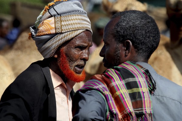 Merchants have a conversation at the colorful camel market in Babile, surrounded by herds of camels, Babile, Oromia, Ethiopia