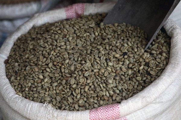 A bag filled with coffee beans at a market in ETH Bahirdar, Bahirdar, Amhara, Ethiopia