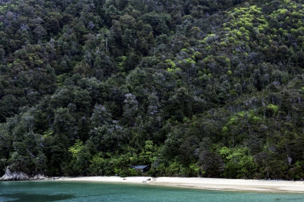 Forest and beach along the Abel Tasman Coast with refreshing water, zero