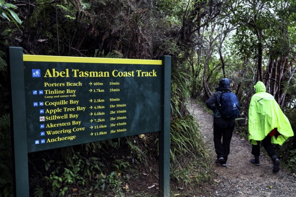 Hikers pass an Abel Tasman Coast Track sign in the thick forest, zero