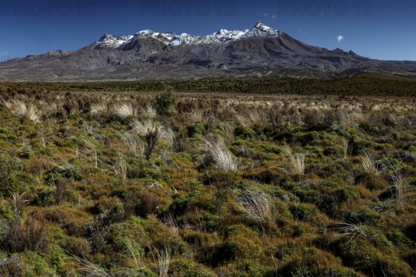 View of snow-capped Mount Ruapehu along Desert Highway, Mount Ruapehu, New Zealand