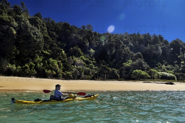 Single person kayaking in front of densely wooded beach, Stillwell Bay, Abel Tasman National Park, New Zealand