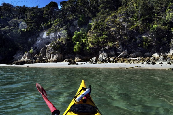 Yellow kayak on calm sea off wooded coast, Adele Island, Abel Tasman National Park, New Zealand