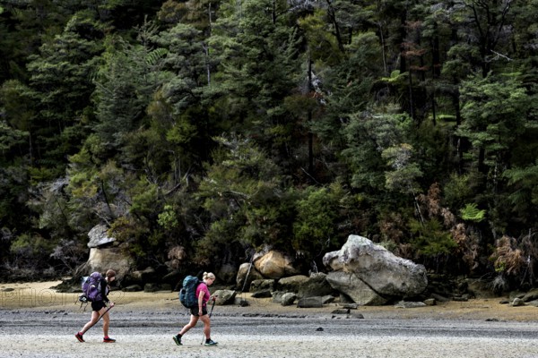 Hikers on the Low Tide Track in Torrent Bay, surrounded by trees, zero