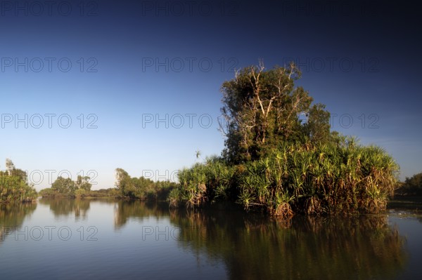 Lush trees and reflections on calm water in the Yellowwaters in Kakadu National Park, Kakadu National Park, Northern Territory, Australia