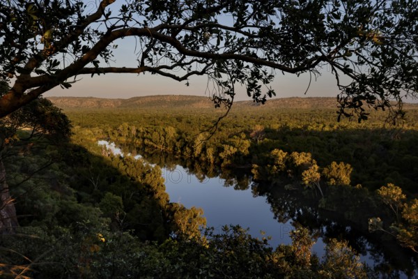 View of the river and surrounding nature in the evening light from Baruwai Lookout, Nitmiluk National Park, Northern Territory, Australia