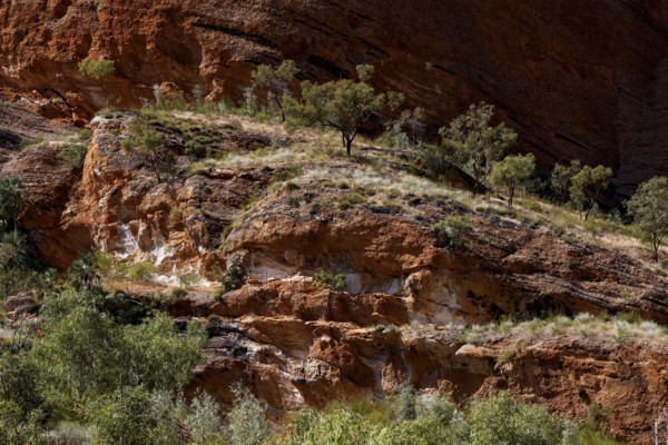 Red rock wall with sparse vegetation in Echidna Chasm Trail, Bungle Bungle, Purnululu National Park, Western Australia, Australia
