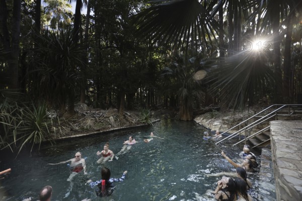 People swimming in hot springs surrounded by lush greenery and sunlight, Mataranka, Northern Territory, Australia