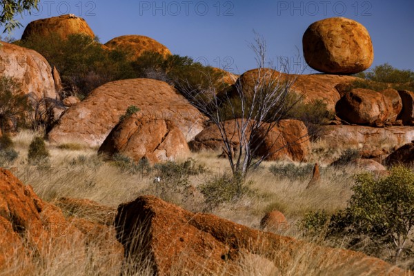 The distinctive, rounded rocks of Devil's Marbles, surrounded by sparse vegetation, Devil's Marbles, Northern Territory, Australia
