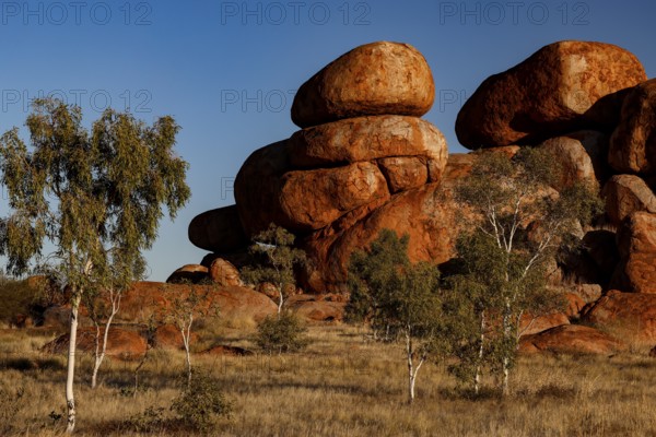 Impressive red rocks and trees in a sun-drenched desert landscape, Devil's Marbles, Northern Territory, Australia