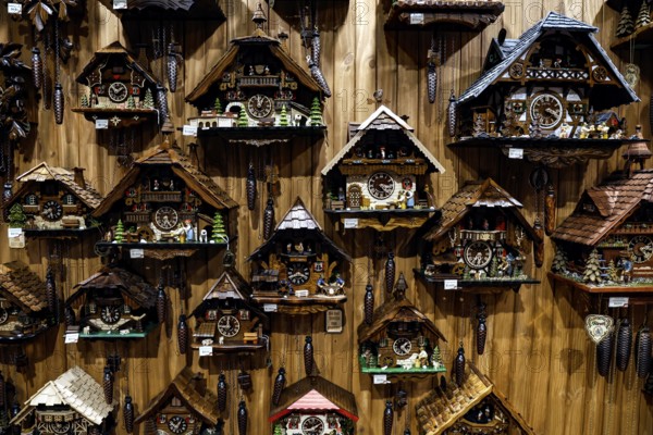 Traditional gift shop with cuckoo clocks on wooden walls in Hahndorf, Hahndorf, South Australia, Australia