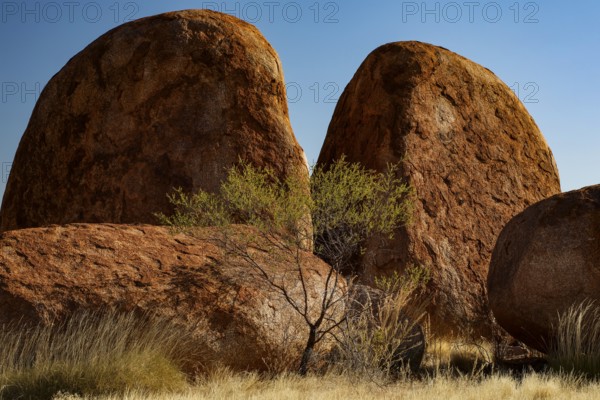 Massive, smooth rocks in the desert surrounded by sparse vegetation, Devil's Marbles, Northern Territory, Australia