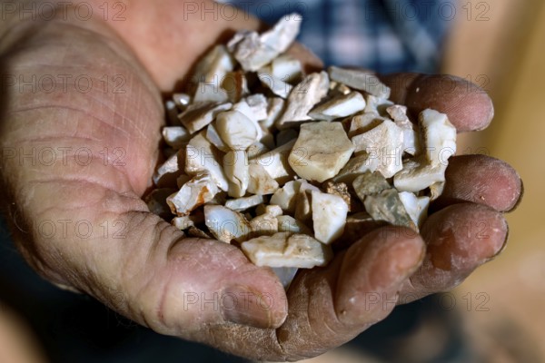 Unprocessed opalns presented in one hand, remnants of opal mining, Coober Pedy, South Australia, Australia
