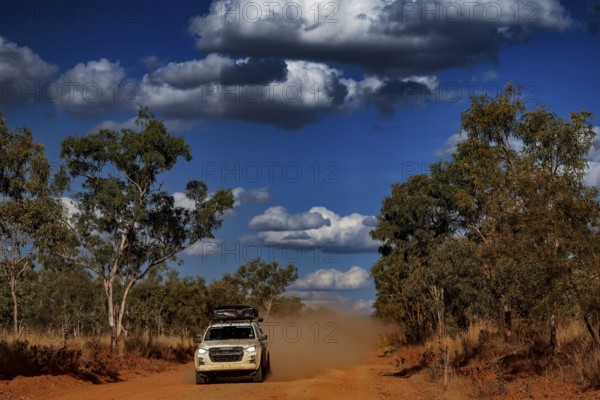 A car is driving on a dusty road between trees under a blue sky with clouds, zero