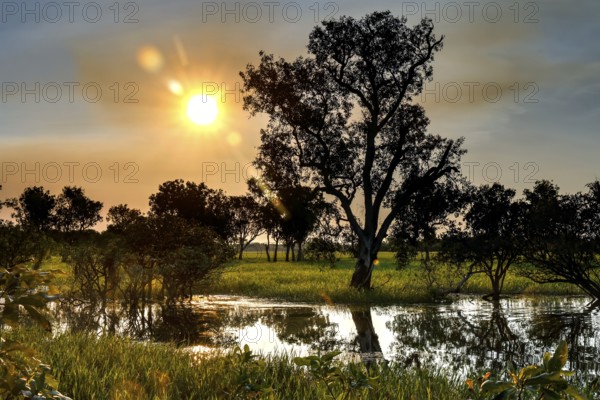 The sunset bathes the landscape in Kakadu National Park, Kakadu National Park, Northern Territory, Australia