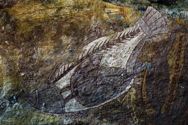 Traditional rock painting of a fish in Ubirr, Kakadu National Park, Ubirr, Northern Territory, Australia