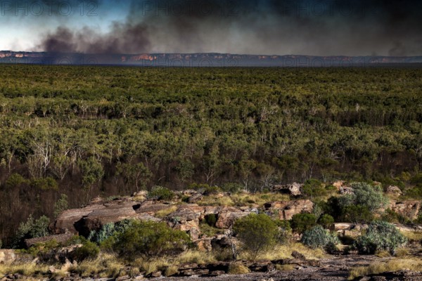 Extensive landscape with thick vegetation and smoke on the horizon in Kakadu National Park, Kakadu National Park, Northern Territory, Australia