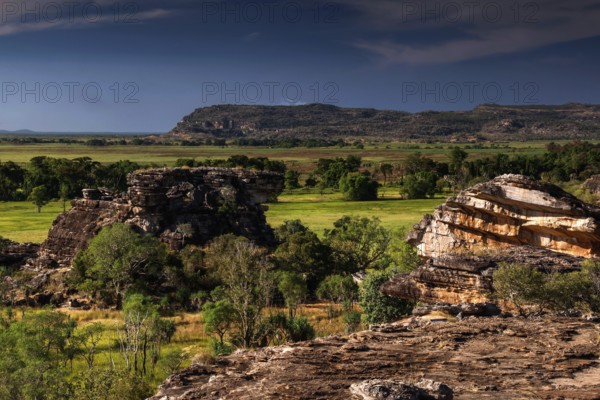 Impressive view of the lush nature of Kakadu National Park, Ubirr, Kakadu National Park, Northern Territory, Australia from Nardab Lookout