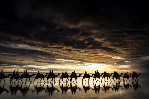 Sunset camel tour on Cable Beach in Broome, Broome, Australia