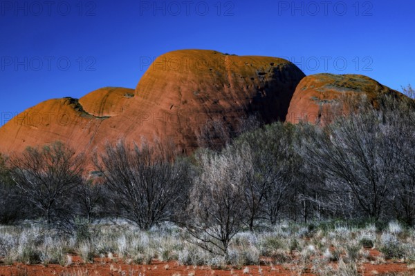 The Olgas with reddish rock formations against a clear sky, Kata Tjuta, Northern Territory, Australia
