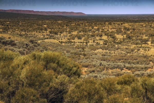 View of a vast, semi-desert landscape with scattered scrubland and clear sky, zero