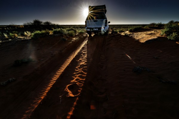 Vehicle leaves traces on sandy track at sunrise, Simpson Desert, Australia
