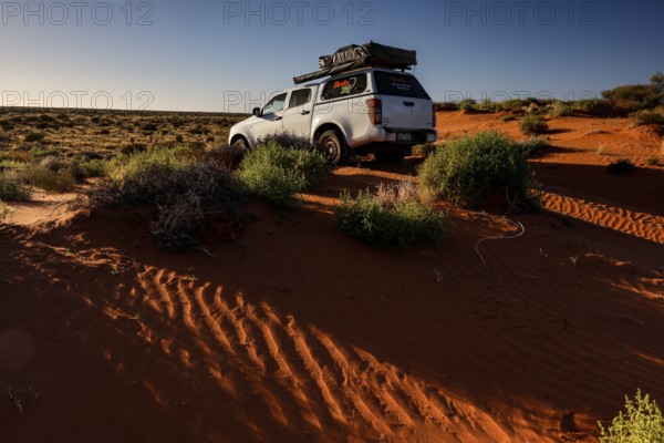 Off-road vehicle drives over sandy dunes in Simpson Desert, Simpson Desert, Australia