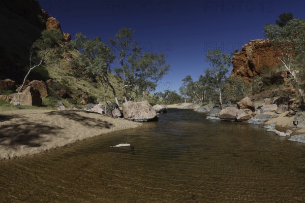 Clear water with trees and rocks in Simpson Gap under bright blue sky, Simpson Gap, Northern Territory, Australia