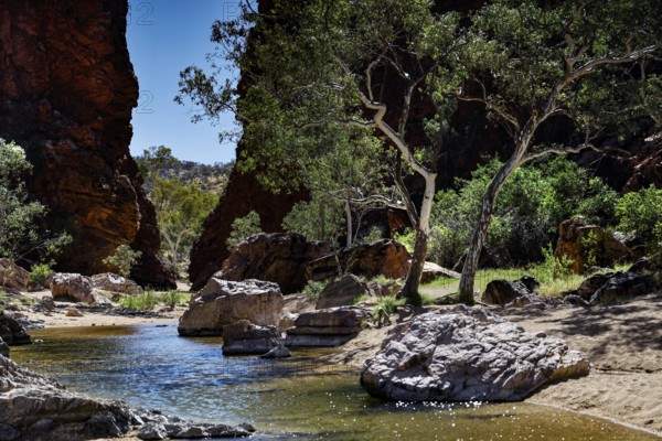 River with surrounding trees and rocks in an idyllic gorge, Simpson Gap, Northern Territory, Australia