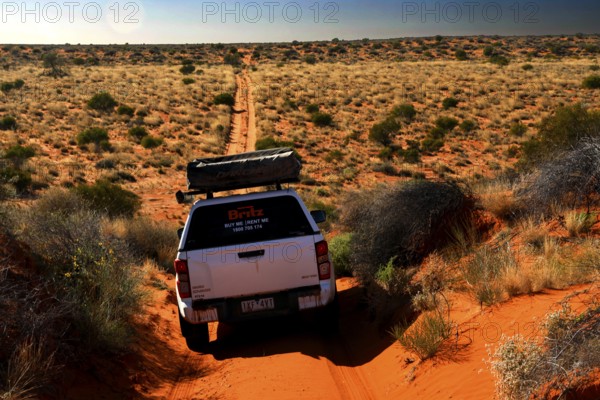 Off-road vehicle on sandy track in Simpson Desert, Simpson Desert, Australia