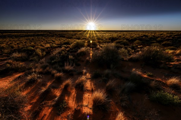 Sunrise over the Simpson Desert with golden rays, Simpson Desert, Australia
