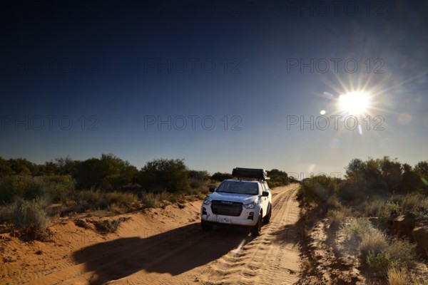 4WD vehicle at sunrise on a desert track in the Simpson Desert, Simpson Desert, Australia