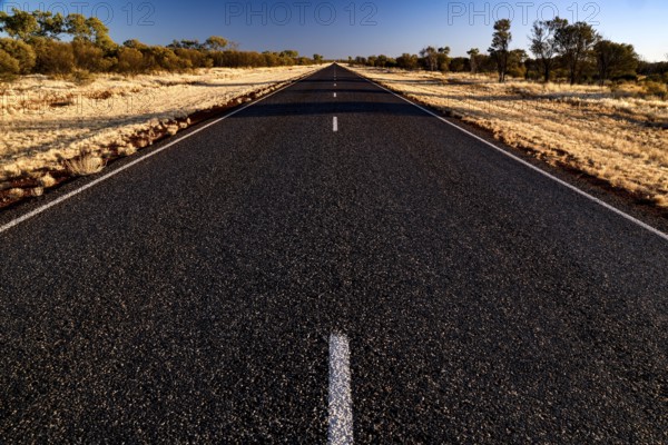 Lonely and straight desert road under clear blue sky with sparse vegetation, Stuart Hwy, Northern Territory, Australia