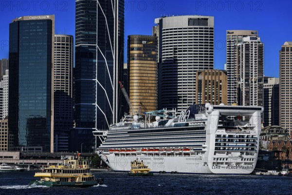 Large cruise ship in harbor in front of the impressive skyline of Sydney, Sydney, New South Wales, Australia