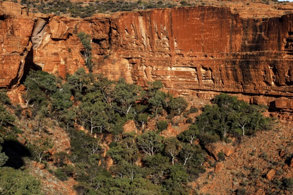 View of red rocks and vegetation in Kings Canyon of Watarrka National Park, Watarrka National Park, Northern Territory, Australia