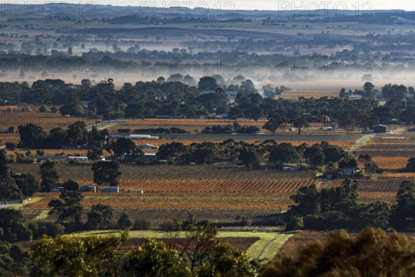 Extensive landscape with vineyards seen from Mengler's Hill Lookout, Mengler's Hill Lookout, Tanunda, Australia
