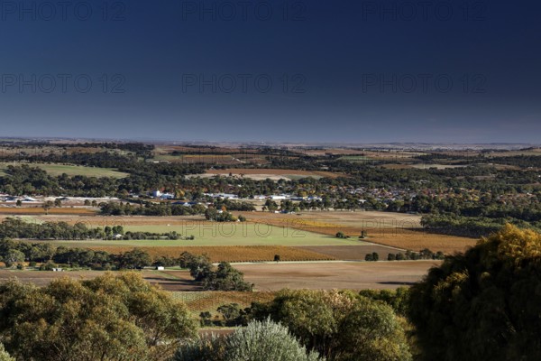 Extensive views of the Barossa Valley from Mengler's Hill Lookout, Tanunda, South Australia, Australia