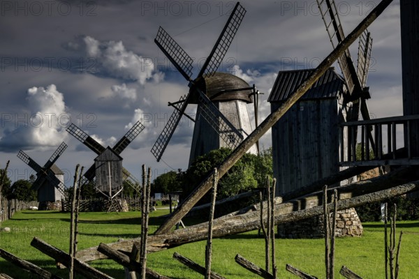 Traditional windmills in a green landscape with dramatic clouds, Angla, Saaremaa, Estonia
