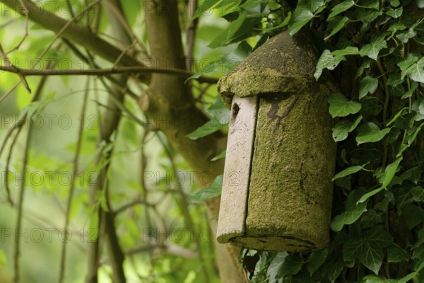Old concrete birdhouse. summer in park. Hessen, Germany