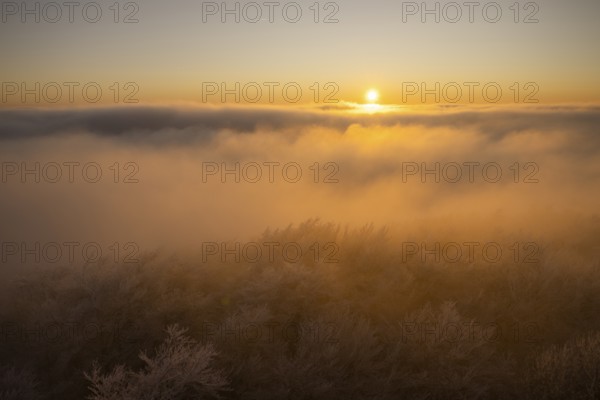 Beech forests at sunset with hoarfrost, view westwards of the crest of the Teutoburg Forest, after sunset, Steinegge observation tower, Dissen, Osnabrück district, Lower Saxony, Germany