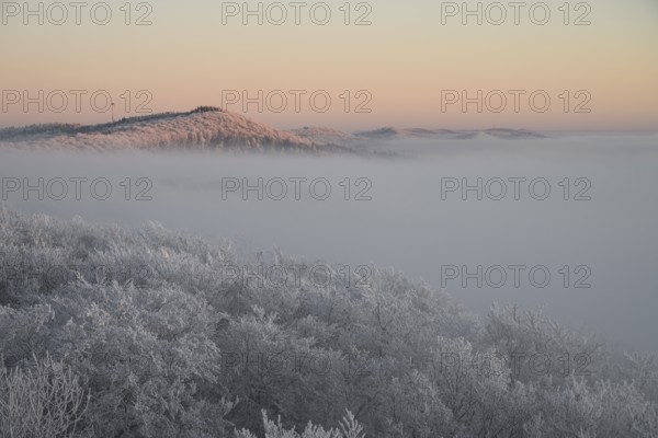 Snowy range of hills with frosty trees in the morning light, Hermannsweg an der Steinegge, Dissen am Teutoburger Wald, Lower Saxony, Germany