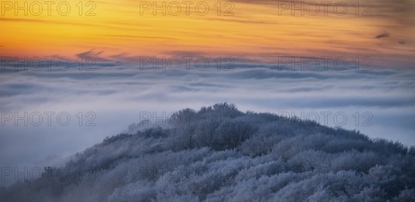 Hill at sunset surrounded by fog and frosty, snowy forest in the Teutoburg Forest, Steinegge observation tower, Dissen, Osnabrück district, Lower Saxony, Germany