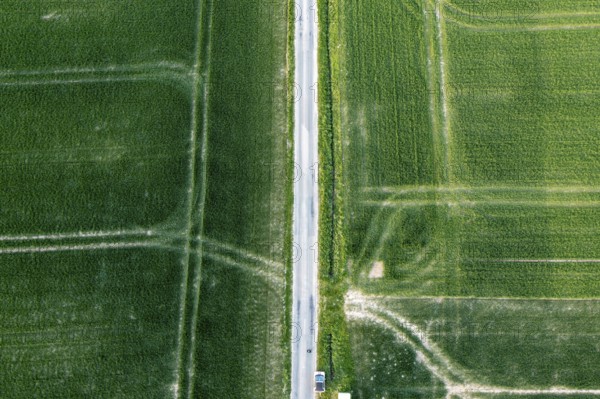 Vertical aerial view of fields intersected by a road, Osnabrücker Land, Wiehen Mountains, Lower Saxony, Germany