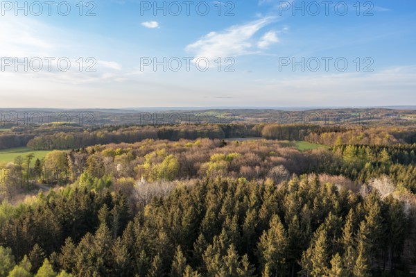 Wide forest landscape with coloured treetops under blue sky in evening light, Osnabrücker Land, Wiehen Mountains, Lower Saxony, Germany