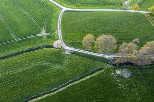 Positive oblique aerial image of agricultural land and trees in special light with glowing shades of green and blooming trees, Osnabrücker Land, Wiehen Mountains, Lower Saxony, Germany