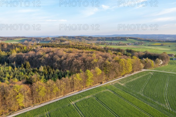 Wide landscape with forests and green fields under blue sky in spring, oblique aerial view, Osnabrücker Land, Wiehen Mountains, Lower Saxony, Germany
